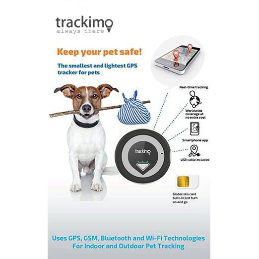 how much does it cost to put a tracker in a dog