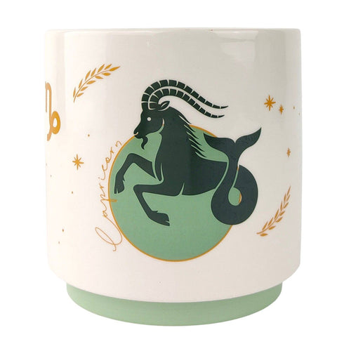 Capricorn Zodiac Star Sign Planter Pot