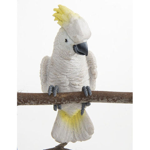 Cockatoo Pot Sitter