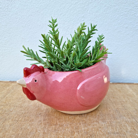 Chicken Planter Coral 12cm