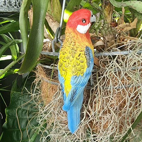 Eastern Rosella Pot Sitter