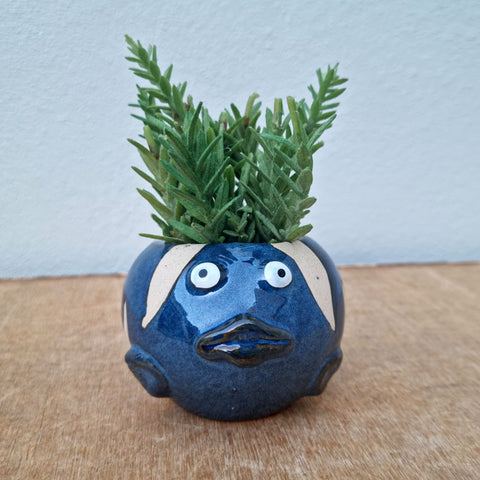 Fish Planter - Blue