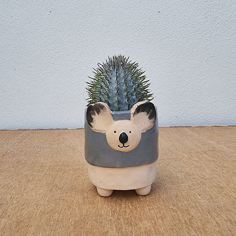 Little Koala Planter Pot