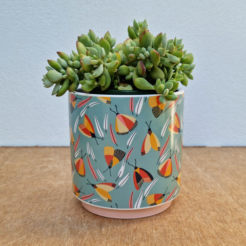 Moth Ceramic Planter Pot