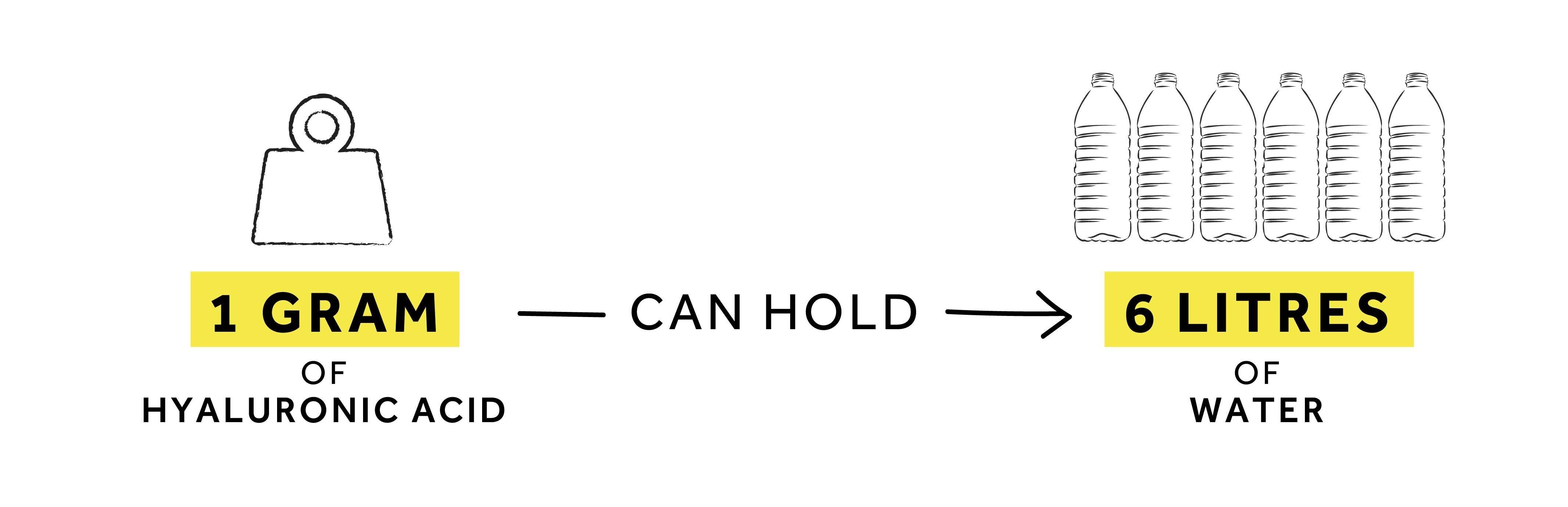 Graphic showing how one gram of hyaluronic acid can hold up to six litres of water