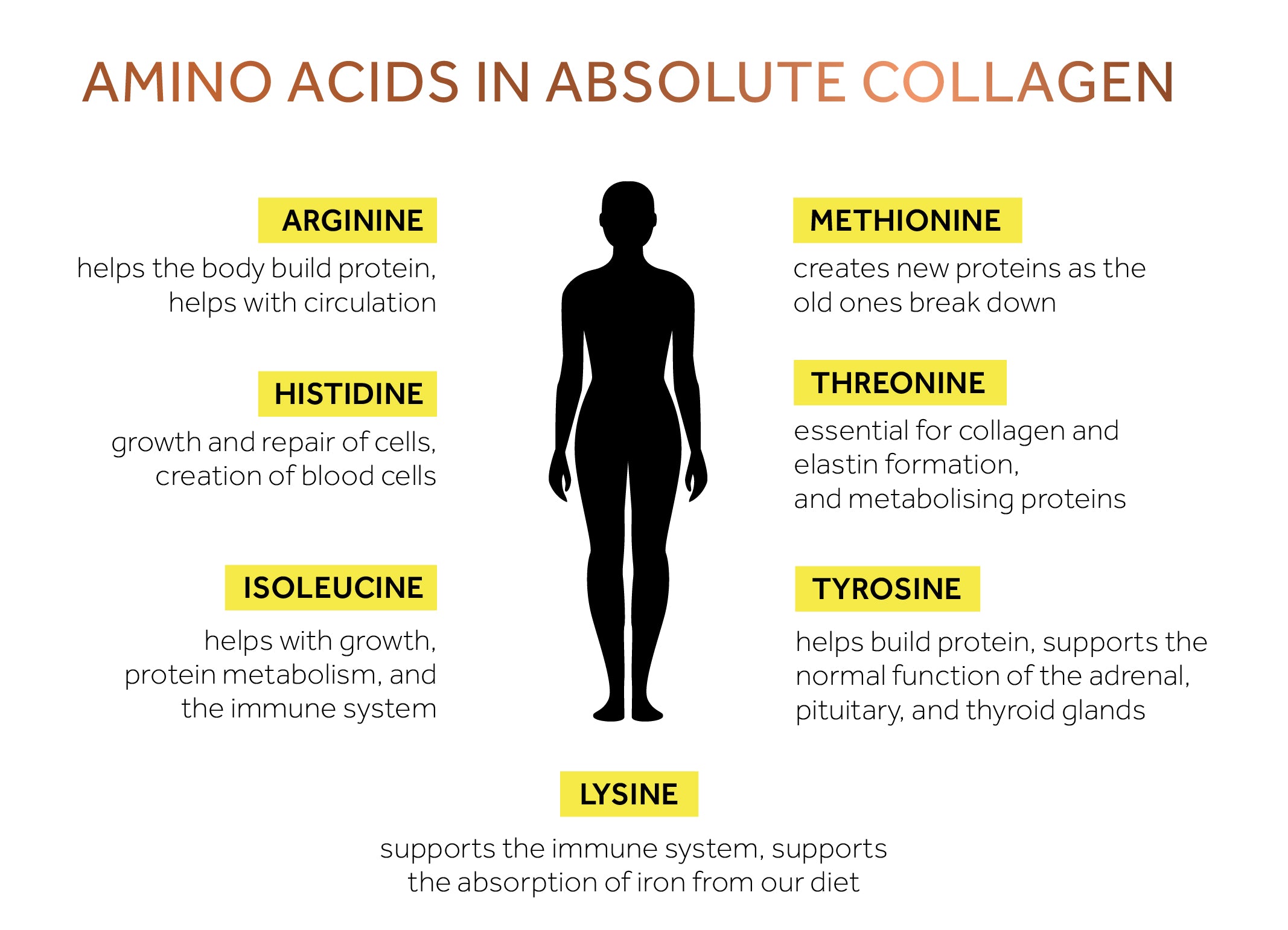 Infographic of all amino acids in AC drink