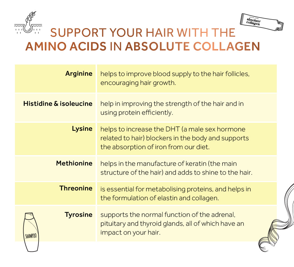 List of the amino acids in Absolute Collagen alongside the benefits each amino acid has for hair