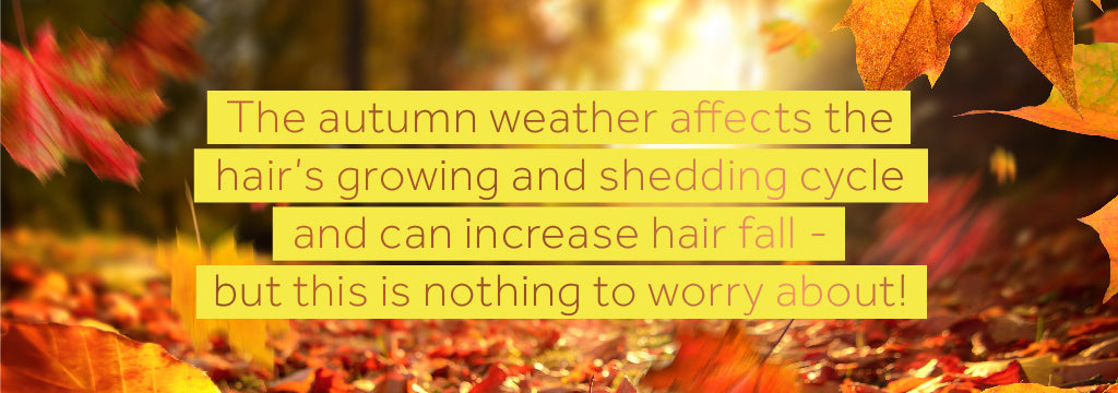 Image of text on a backdrop of autumn leaves explaining how autumn can affect hair fall but that this is nothing to worry about