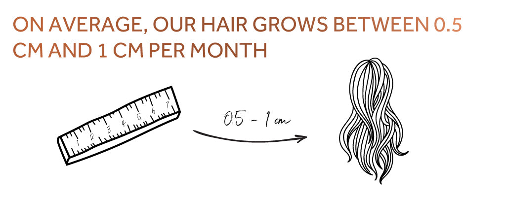Graphic showing how much human hair grows per month