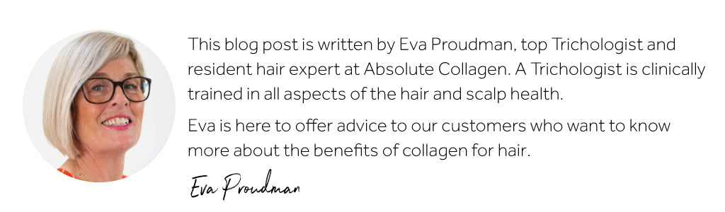 A headshot of Eva Proudman alongside a short bio describing her expertise 