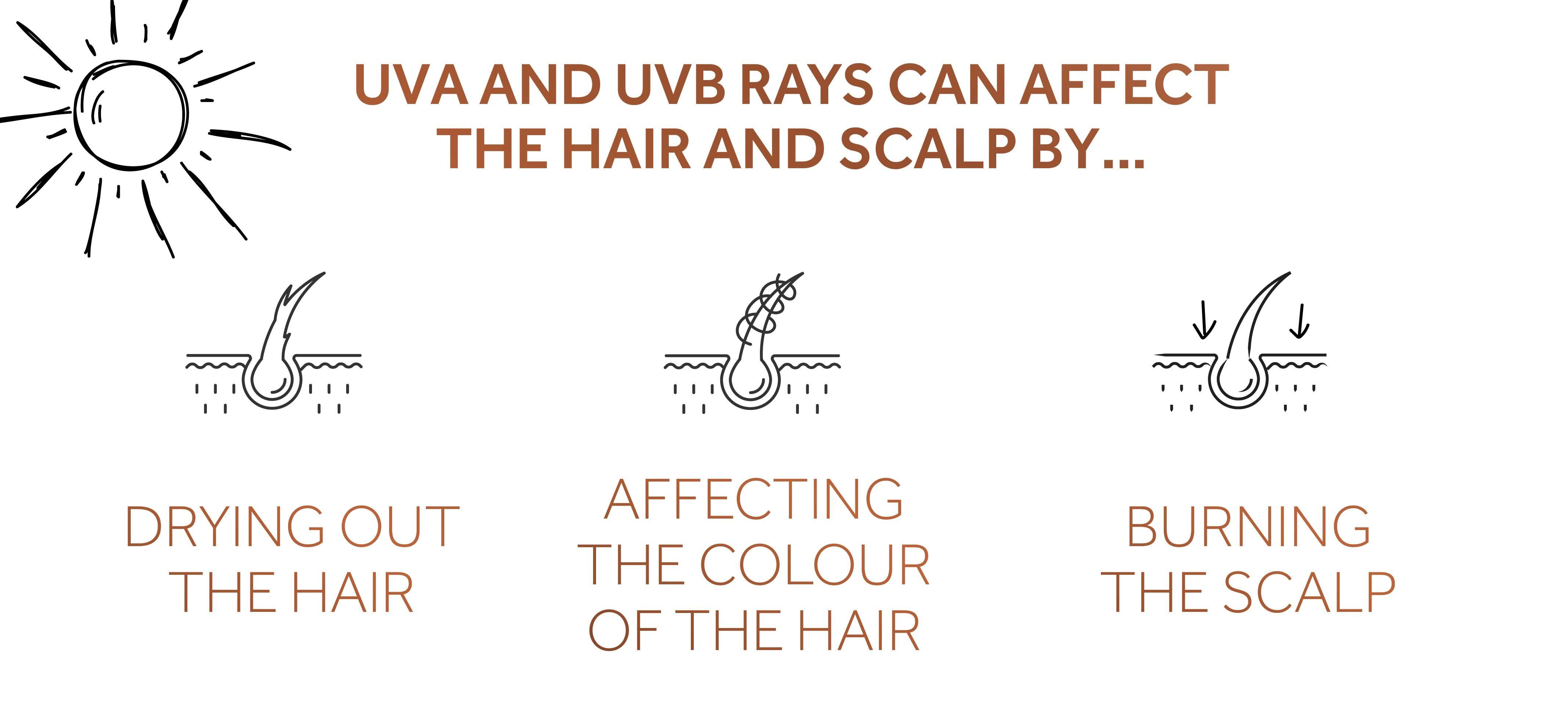 Infographic showing how UV rays can affect the hair and scalp