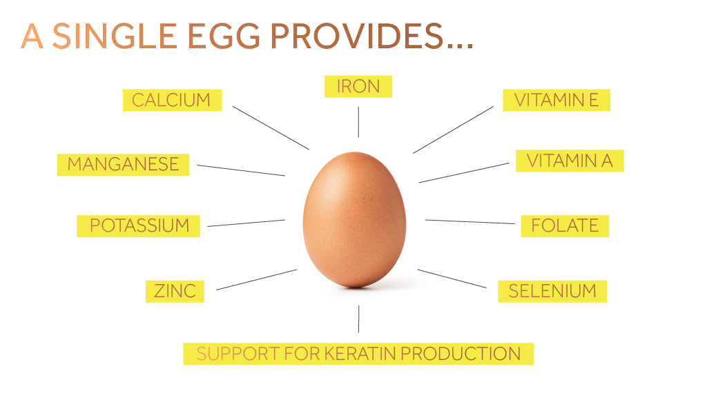 A graphic showing some of the vitamins and minerals provided by one egg