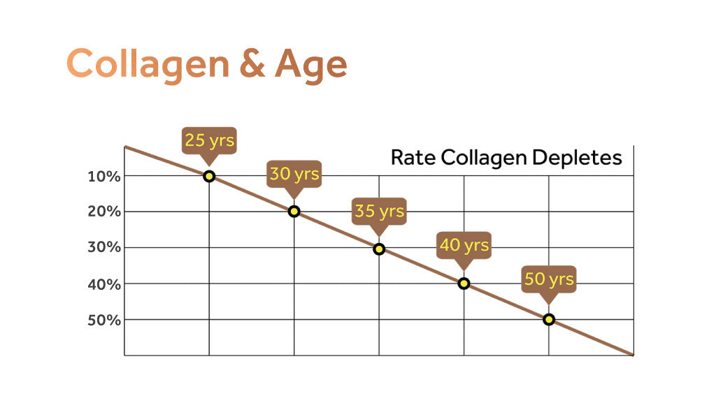 Graph indicating the rate at which collagen levels deplete according to age.