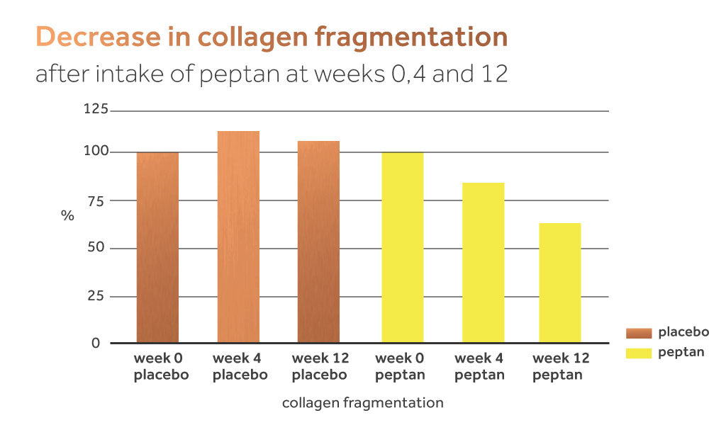 Graph showing decrease in collagen fragmentation from taking peptan