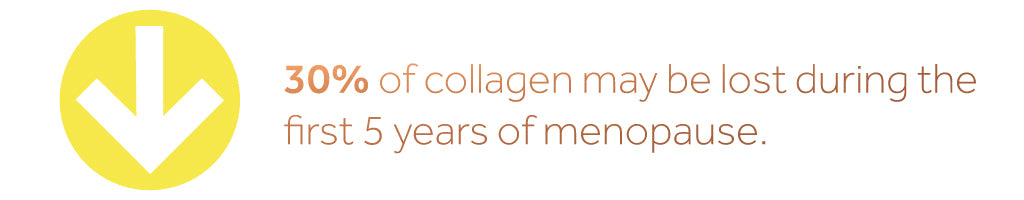 Graphic showing how 30% of collagen may be lost the first 5 years of menopause