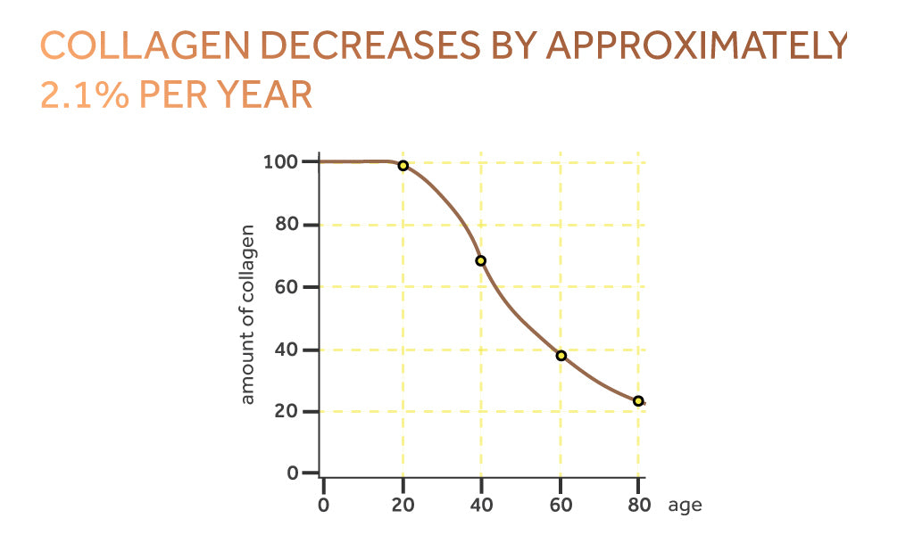 Graph showing the natural decline of collagen levels as we age