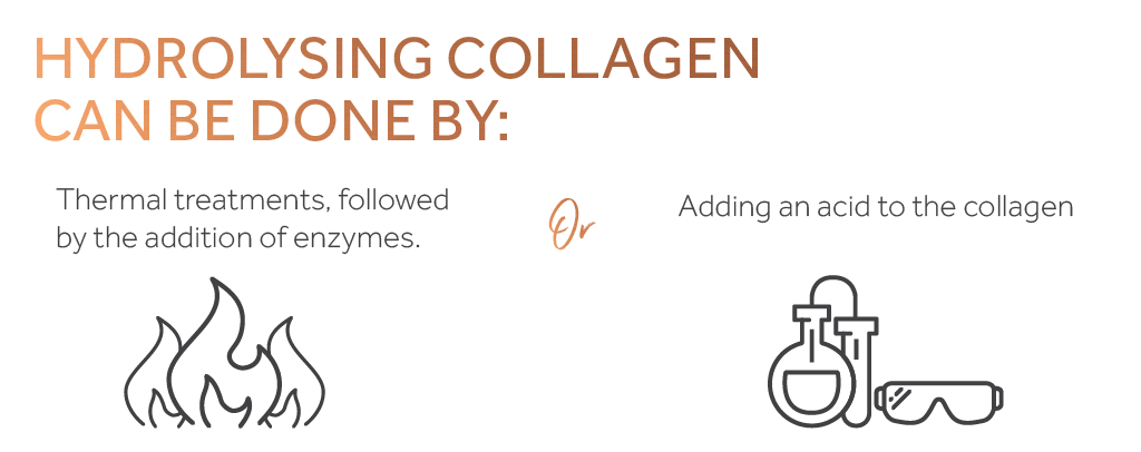 Graphic showing the two ways of hydrolysing collagen, symbolised by a flame on the left and science equipment on the right