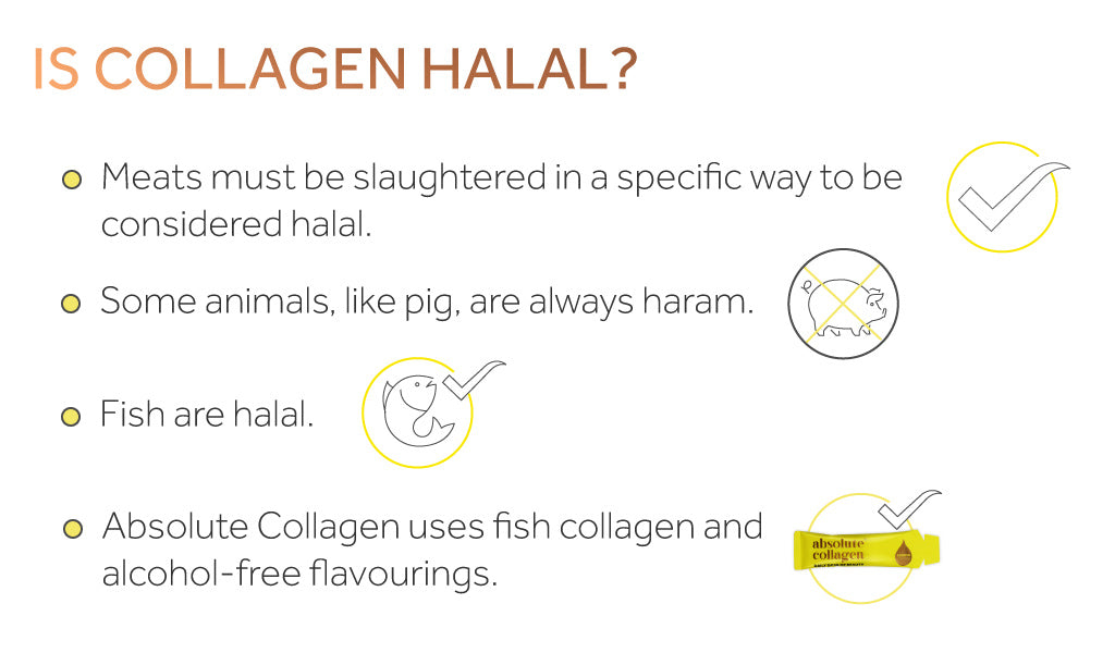 Infographic explaining how Absolute Collagen's collagen drink is halal