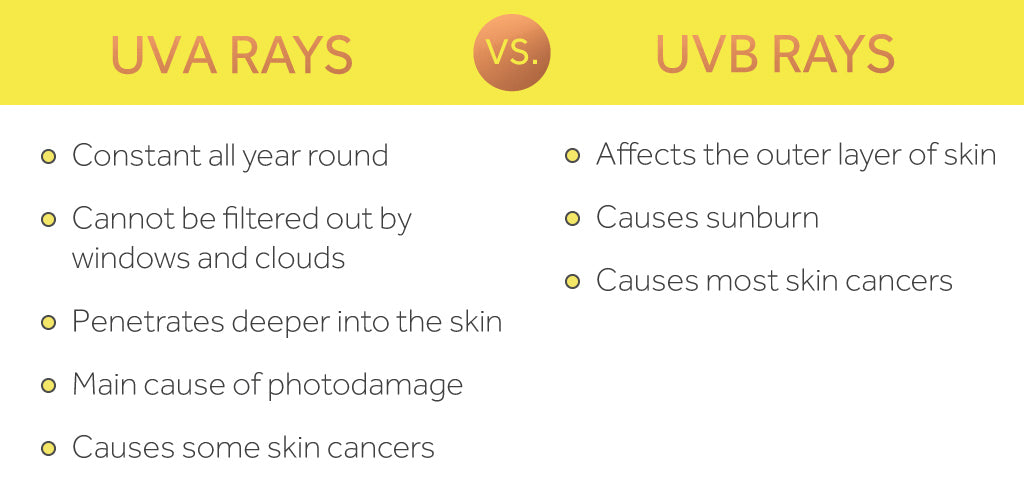 Graphic showing the difference between UVA and UVB rays on the skin