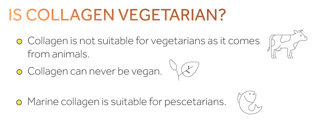 Infographic explaining how collagen is not vegetarian or vegan