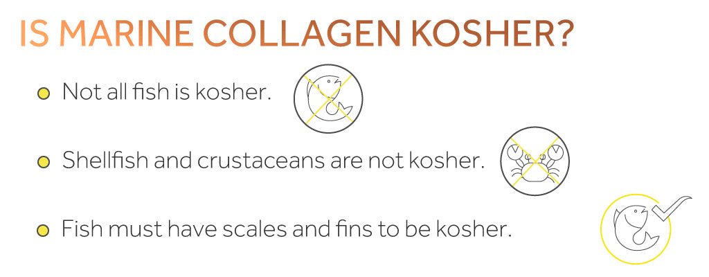 Infographic showing how some marine collagen is not kosher