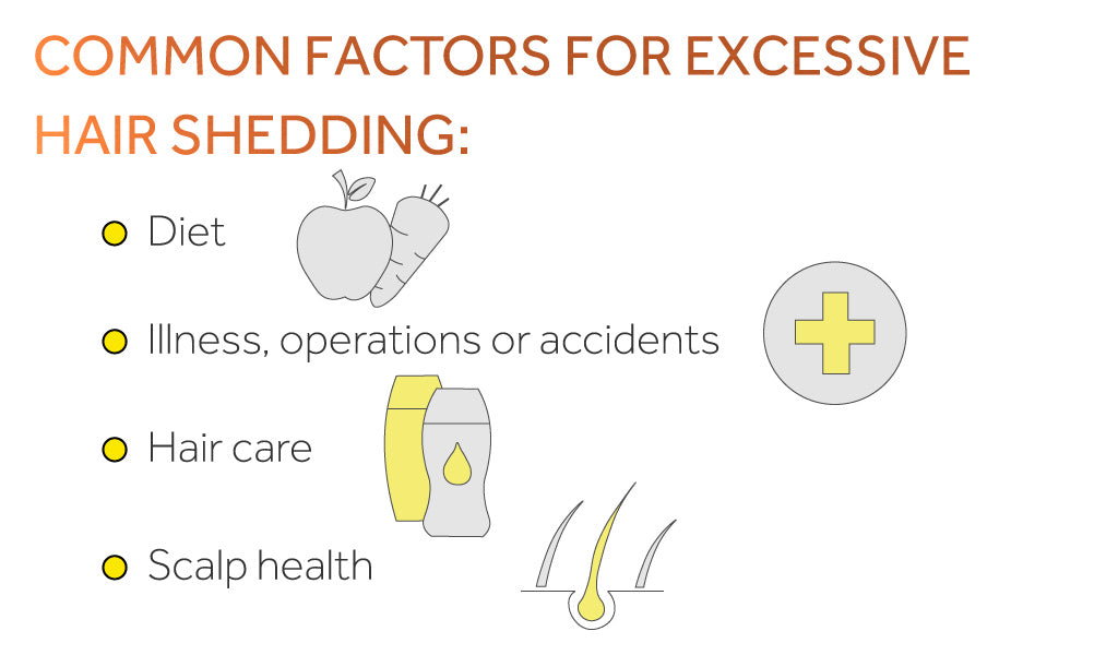 Graphic showing the potential causes of increased hair shedding