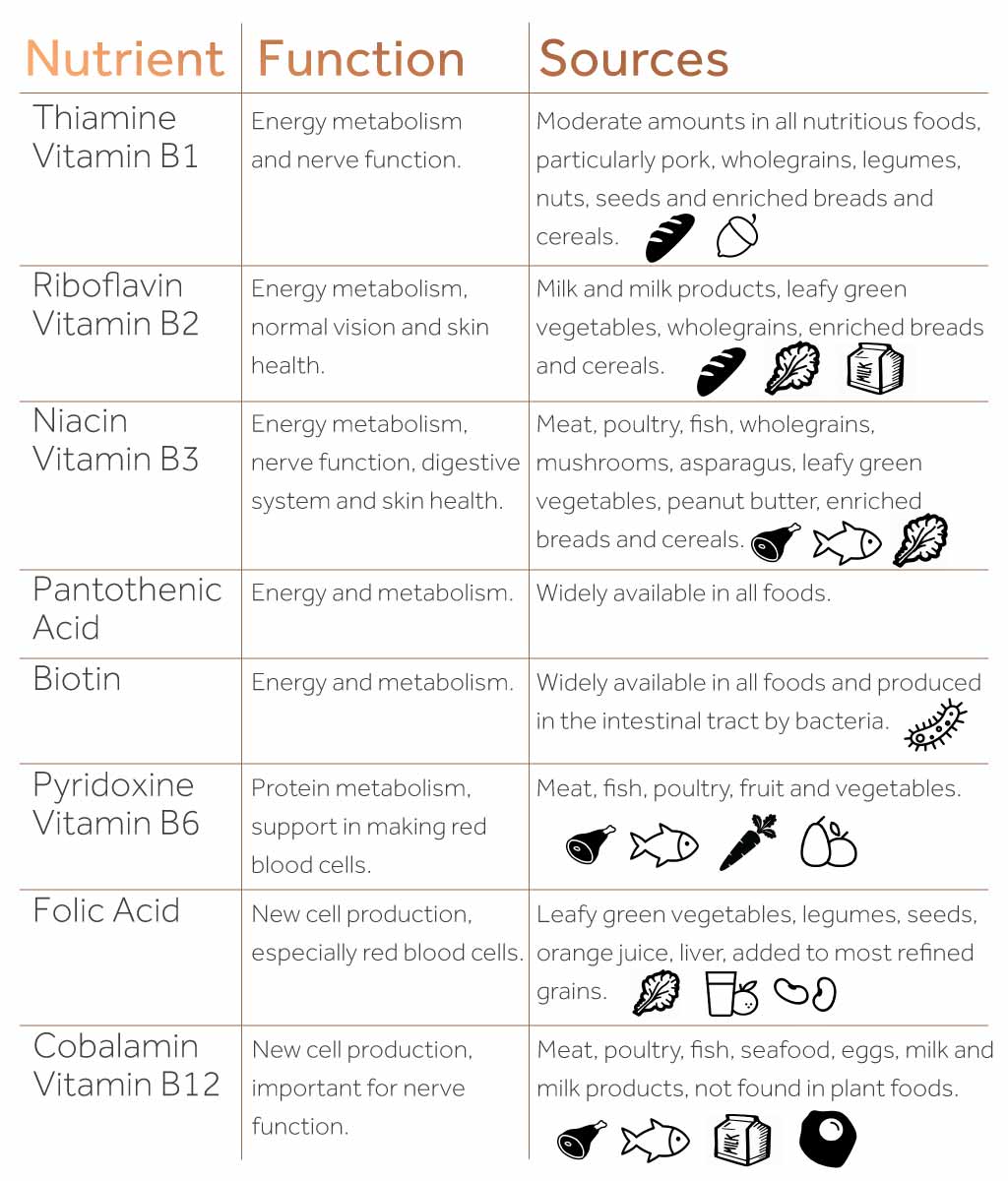 Table showing the different food sources of the B group vitamins