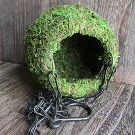 Mossy Dome Hide The Reptiles of Eden