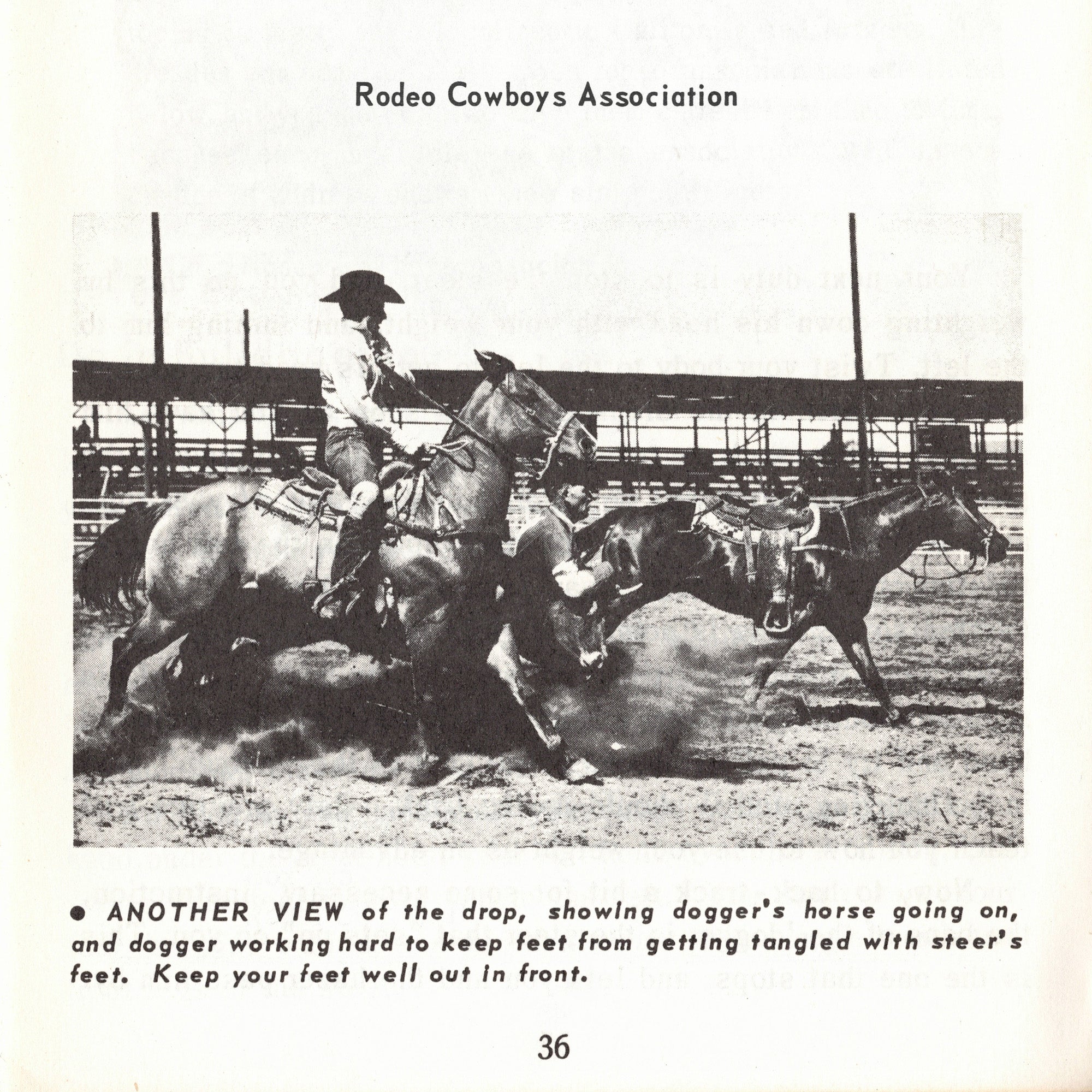 Rodeo Cowboys Association - How To Ride and Train the Western Horse