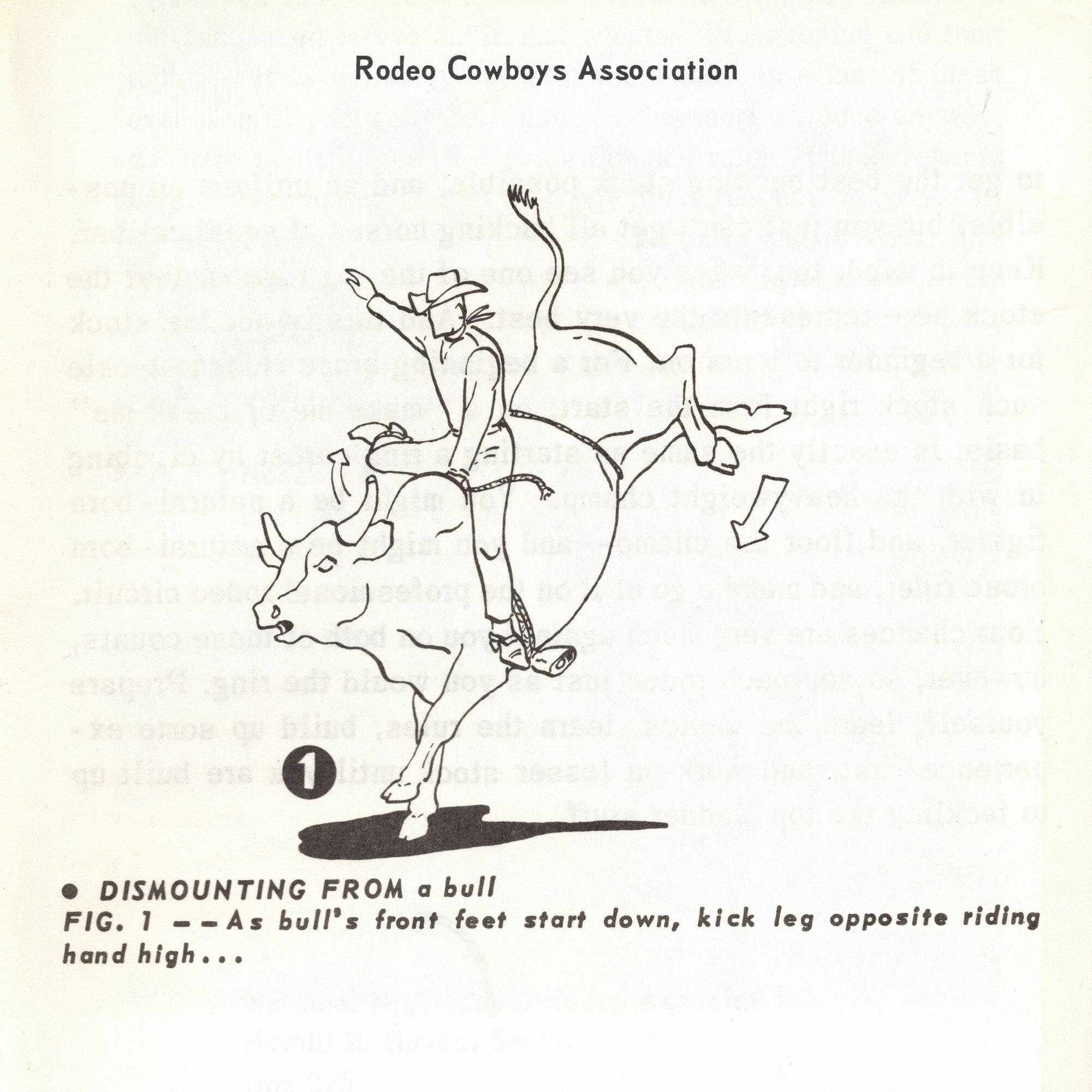 Rodeo Cowboys Association - How To Ride And Train The Western Horse