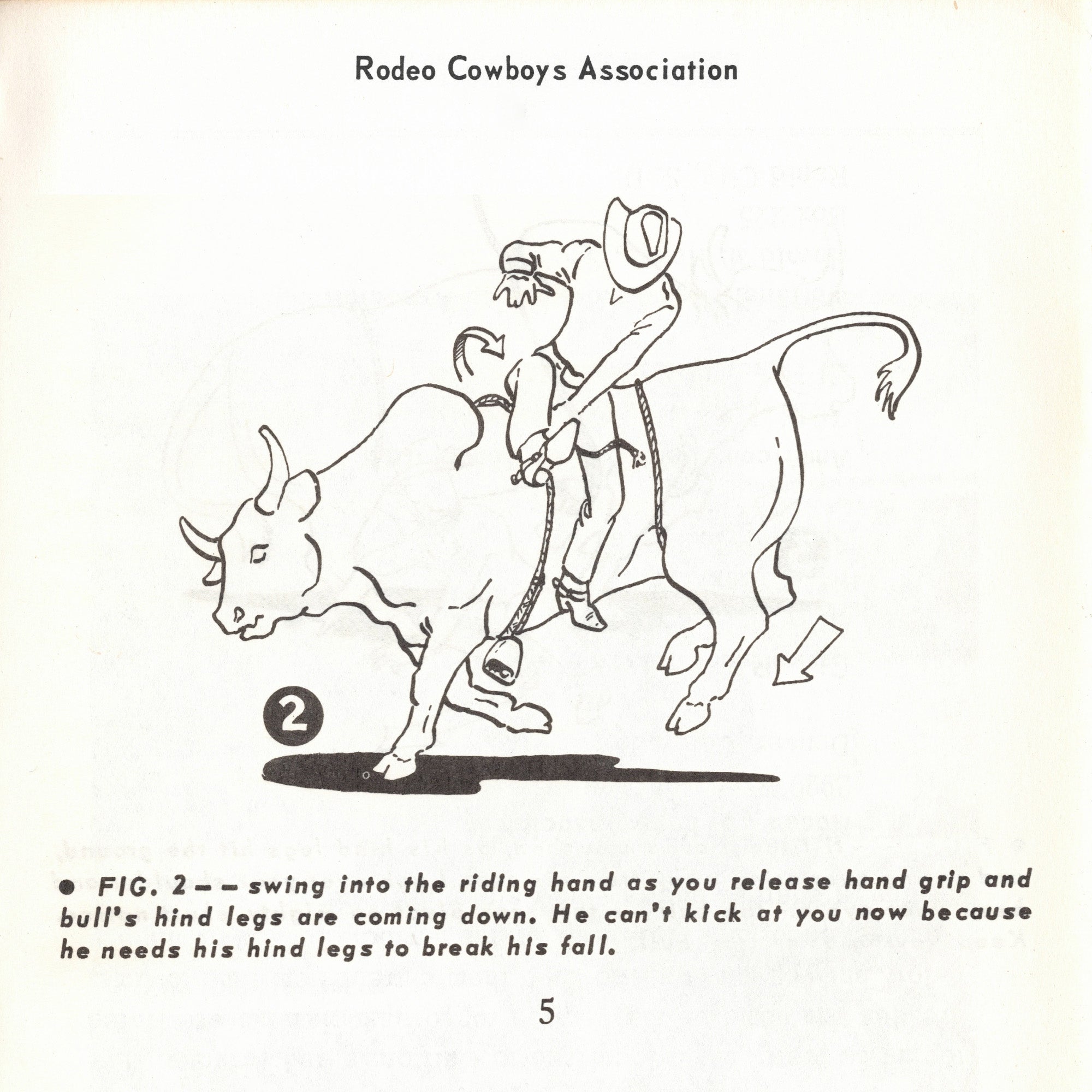 Rodeo Cowboys Association - How To Ride And Train The Western Horse