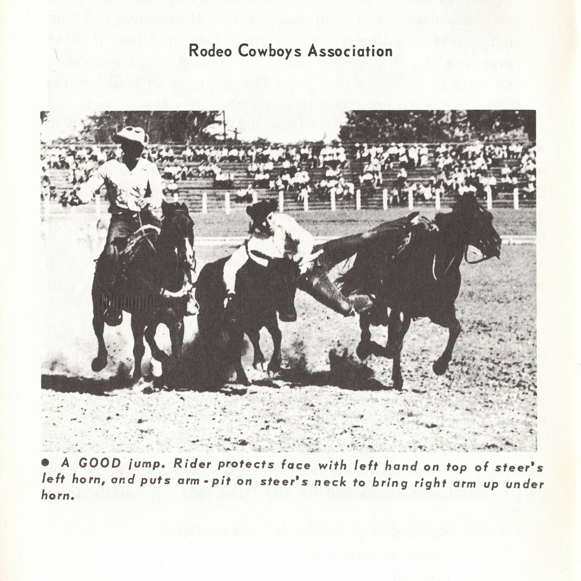 Rodeo Cowboys Association - How To Ride And Train The Western Horse