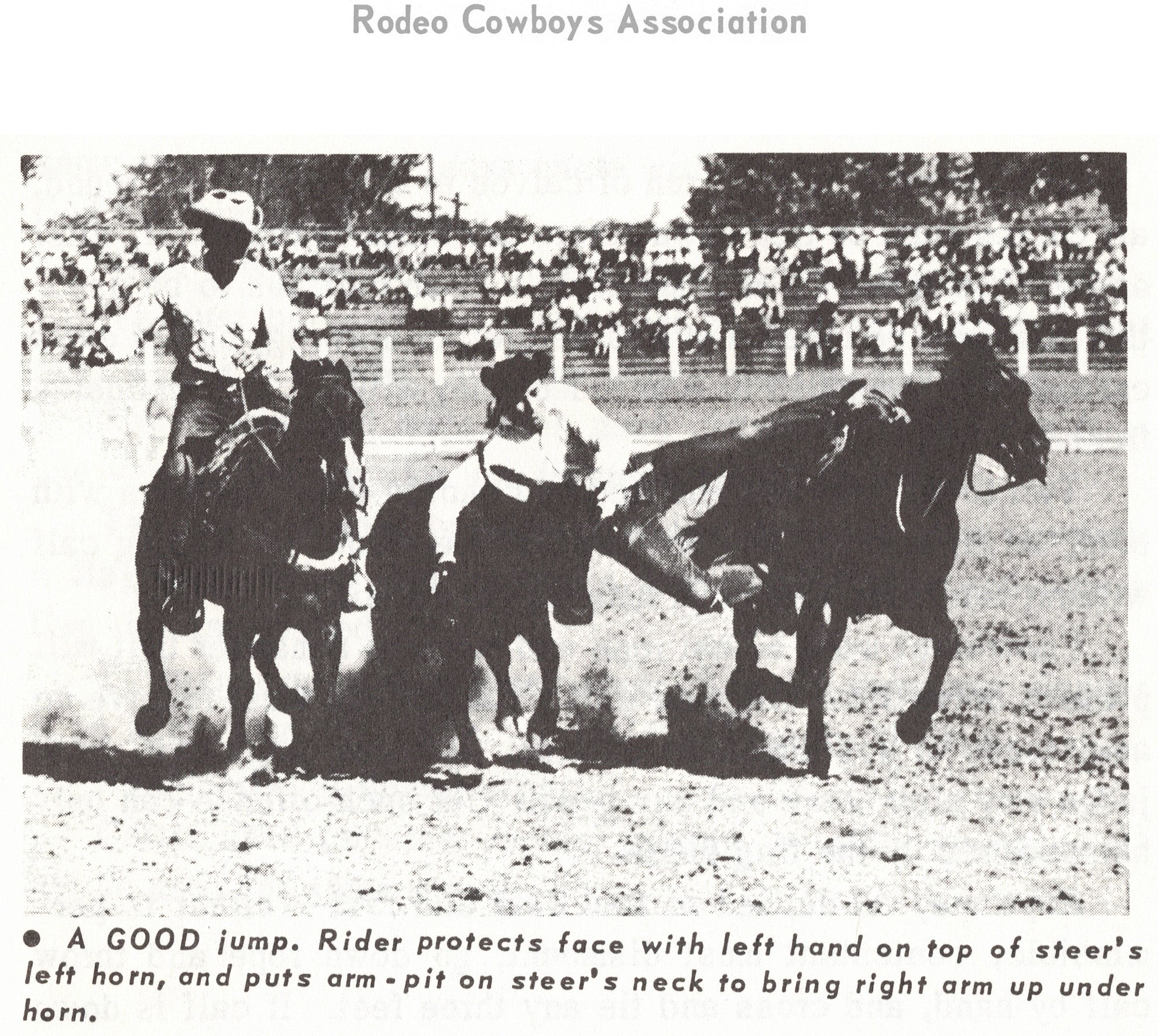 Rodeo Cowboys Association - How To Ride And Train The Western Horse