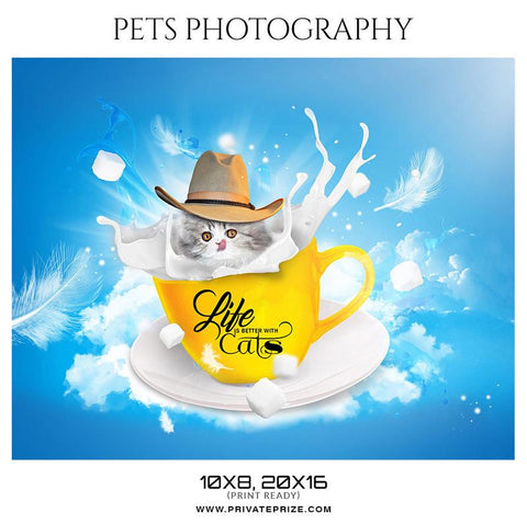 Pets Photography Templates