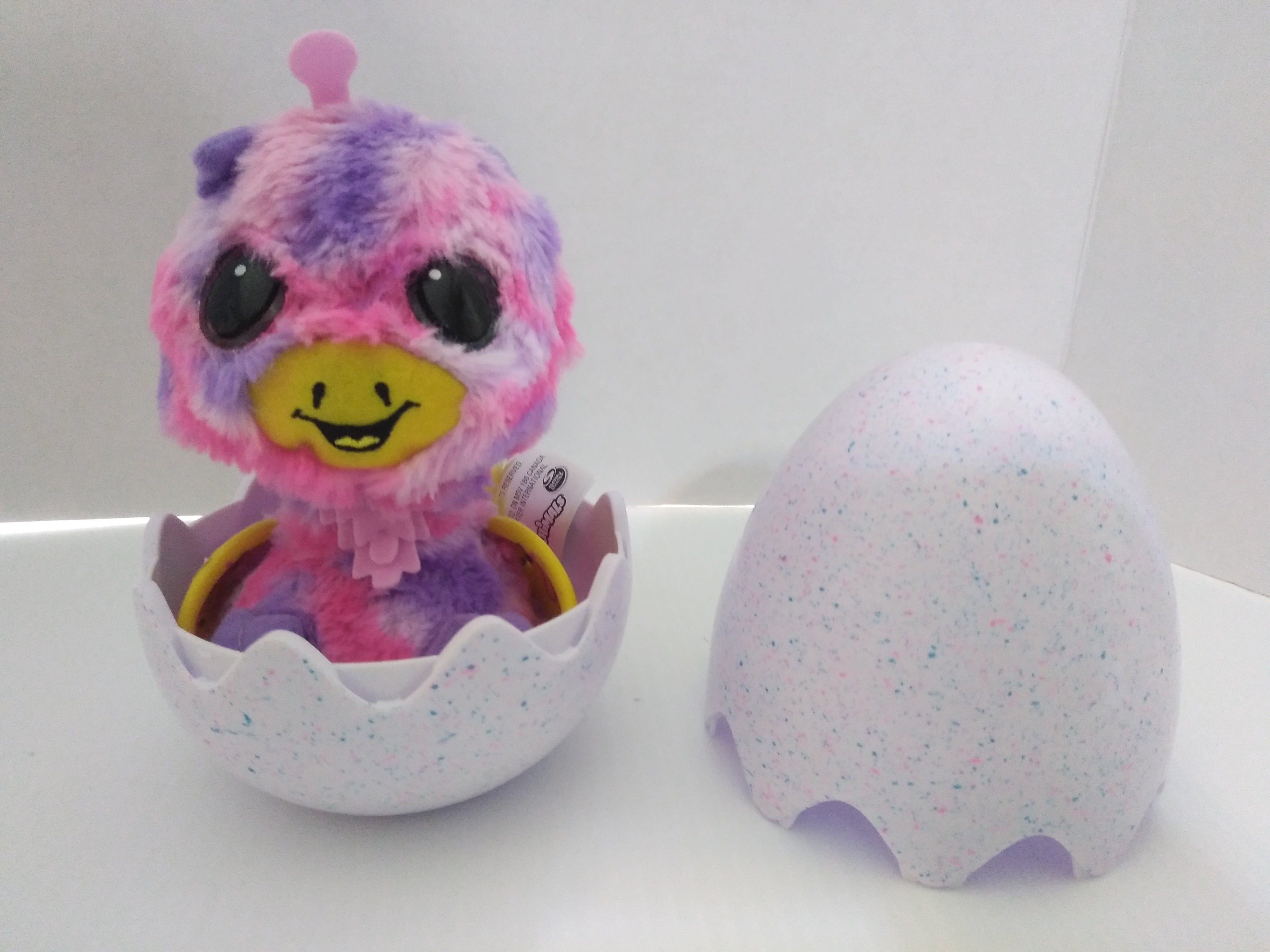 hatched hatchimal