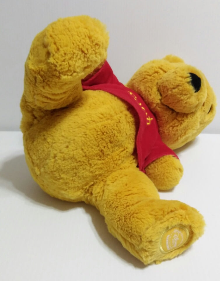 Winnie the Pooh Plush| We Got Character