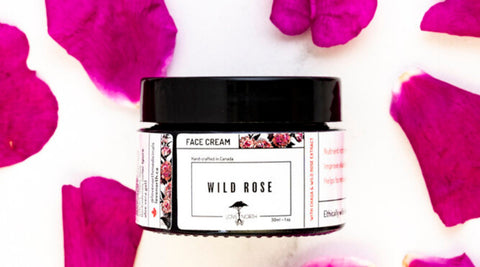 Wild Rose Face Cream from Love North