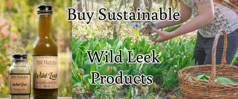 Where to buy wild leeks and wild ramps