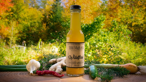 Wild Fire Cider Tonic Recipe