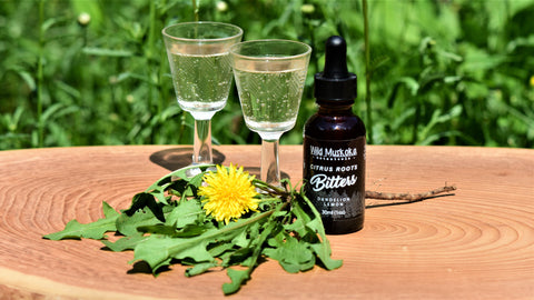 what are digestive bitters and how to use digestive biiters?