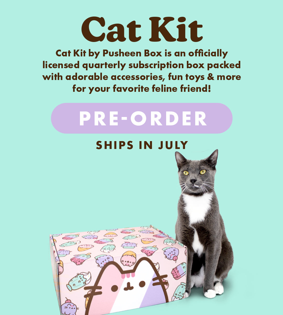 muis Achteruit Tentakel Pusheen Box | The Internet's Favorite Cat!