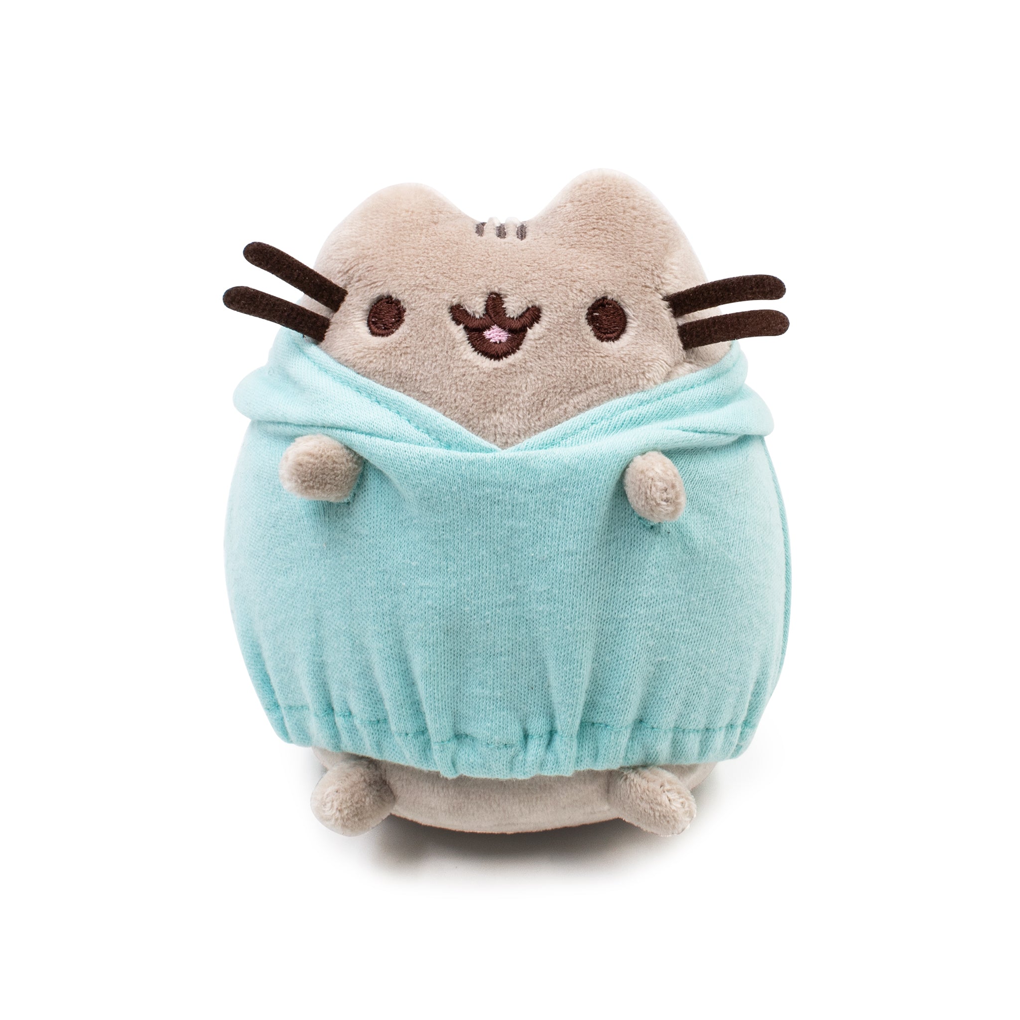 Past Boxes | Pusheen Box