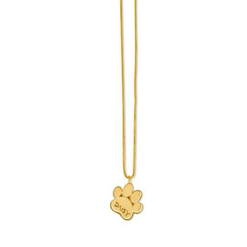 14k yellow gold dog paw pendant – Jonathan's Jewelers
