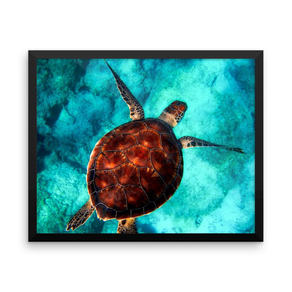 Turtle Swimming Framed Photo Poster Wall Art Decoration