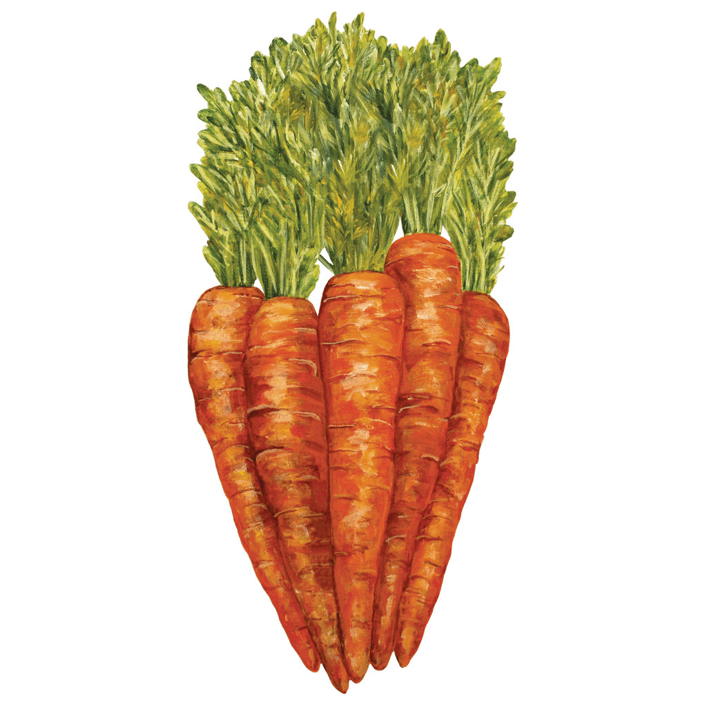 Update more than 118 realistic carrot drawing best