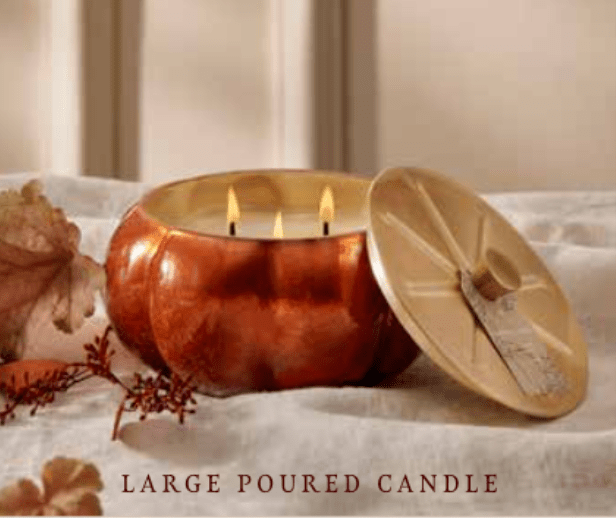 Thymes Pumpkin Laurel 15 oz. Large Candle