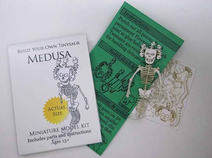 Medusa bare bones kit