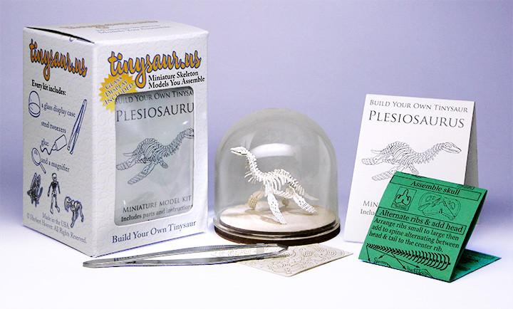 Plesiosaur all-in-one kit