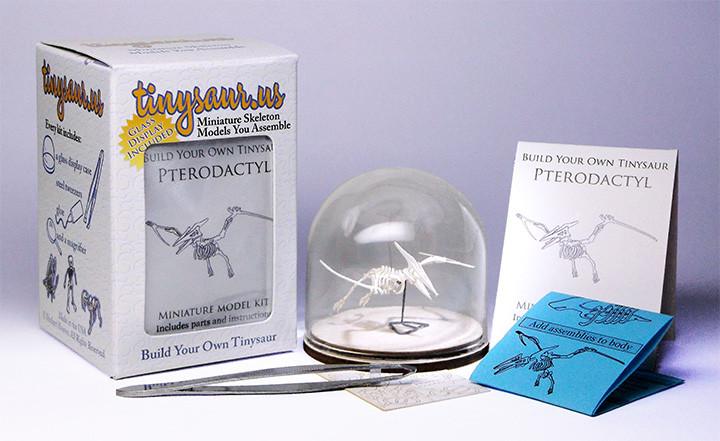 Pterodactyl all-in-one-kit