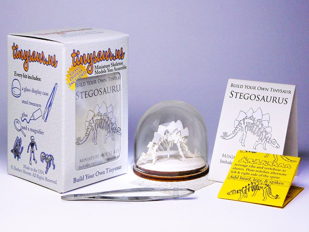 Stegosaurus all-in-one kit